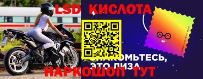 винт Новодвинск