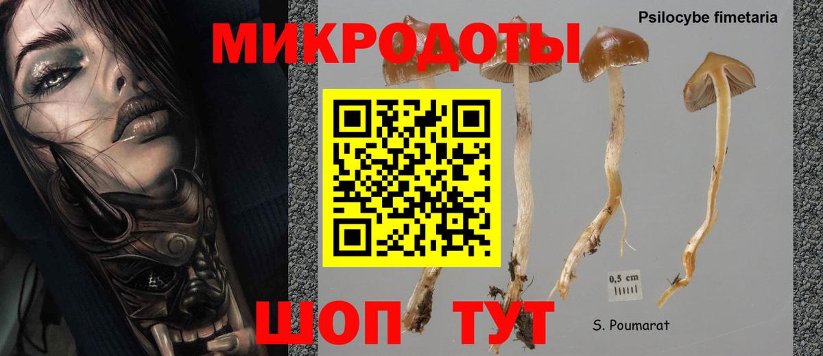 Тольятти  Галлюциногенные грибы Cubensis  Вход с VPN 